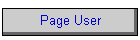 Page User