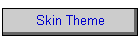 Skin Theme